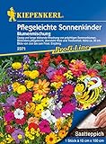Kiepenkerl 2371 Blumenmischung Pflegeleichte Sonnenkinder Mix (Saatteppich)