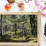 Vero Home 10653 Holz-Tablett | Motiv Natur Dünenlandschaft | Servier-Tablett für jeden Anlass | Maße: 48 x 36 cm