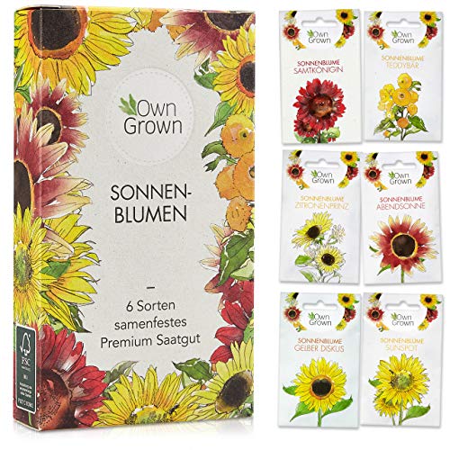 Sonnenblumen Samen Set: Premium Sonnenblumen Saatgut mit 6 Sorten schöner Sommerblumen Samen - Garten Geschenk Anzuchtset - Blumen für Bienen - Blumensamen Sonnenblumen - Saatgut Blumen von OwnGrown