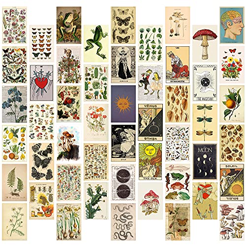50 Stück Vintage Botanical Wall Collage Kit, ästhetisches Bild Indie Room Decor, Art Poster für Wohnheim-Wanddekoration, Wandkunstdrucke für VSCO Mädchen Jungen