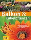 Balkon & Kübelpflanzen: Das neue Standardwerk mit über 200 beliebten Pflanzen im Porträt (GU Große Pflanzenratgeber)