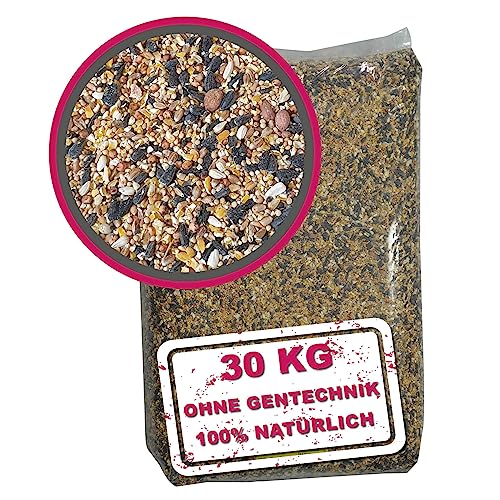 WILDVOGEL-VITAL 30 kg Premium Ganzjahresfutter für Wildvögel und Gartenvögel mit Erdnüssen und französischen Sonnenblumenkernen. OHNE GENTECHNIK!