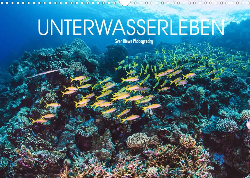 Unterwasserleben (Wandkalender 2023 DIN A3 quer): 12 Bilder aus den schönsten Orte aus dem Mittelmeer, Roten Meer und den Indischen Ozean. (Monatskalender, 14 Seiten ) (CALVENDO Tiere)
